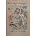 The Bafut Beagles | Gerald Durrell