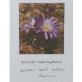 Wild Flowers of the Magaliesburg (Inscribed by Co-Author Kevin Gill) | Kevin Gill and Andry Engel...