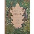 The Shell Guide to Trees and Shrubs | S. R. Bradman & Geoffrey Grigson