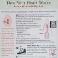How Your Heart Works | Ralph M. Meyrson