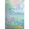 Between the Woods and the Water. On Foot to Constantinople from the Hook of Holland: The Middle D...