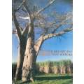 Zimbabawe Sugarcane Production Manual | M. S. Clowes & W. L. Breakwell (Eds.)