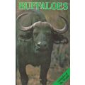 Buffaloes | Bernard Stonehouse