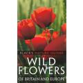 Wild Flowers of Britain and Europe | Margot & Roland Spohn