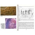 The Drakensberg Bushmen and Their Art: With a Guide to the Rock Paintings Sites | A. R. Willcox