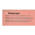 The Budgerigar | Piet Onderdelinden