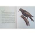 Birds of Field and Forest | E. Demartini