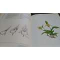 The Slipper Orchids: (Signed by the Author) Selenipedium, Phragmipedium, Criosanthes, Cypripedium...
