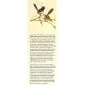 A Birdstuffer's Library: A 19th Century Naturalist's Library (Limited Edition Inscribed by Author...