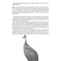 Citizens of the World: Thutlwa & Kgaka (The Giraffe and Guinea-fowl) | Dennis Winchester-Gould