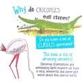 Curious Questions & Answers About Animals | Camilla de la Bedoyere & Pauline Reeves