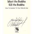 Meet the Buddha, Kill the Buddha: How to Awaken to Your Natural Joy | Marshall Stern