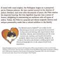 Pekingese: The Essential Guide for the Pekingese Lover | Jenny Drastura