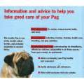 Pugs: A Complete Pet Owner's Manual | Phil Maggitti