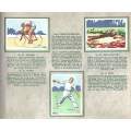 Springbok Sigaret-Album/Springbok Cigarette Album (52 Cards of South African Sports & Pastimes)