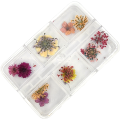 Dry Flowers Nail Dcor - Random Mix - 6 Grit Box