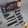 6 Pcs Professional Knives Set