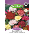 Carnation (Super Giant Chabaud)