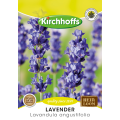 Lavender (Lavandula anggustilfolia)