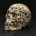 Balancing Dalamtian Jasper Crystal Skull