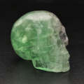 Focus Green Fluorite Crystal Skull