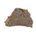 Korra Korrabes Meteorite Fragment (Sliced)