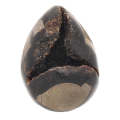 Septarian "Dragon Egg" Geode