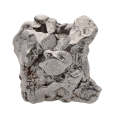 11.6 gram Campo Del Cielo Iron Meteorite Fragment