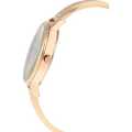 Daniel Klein Premium Watch DK12186-3 Gold Plated Stainless Steel Head With Silver Shimmer Dial On...