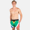 Swim Shorts SA Flag