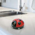 Ladybug Kitchen Timer