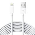 Lightning USB Charging Cable for iPhone 5 & 6 & 7 & 8 & X - White