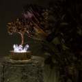 Crystal gemstone tree of life - Night light  - Tiger's Eye