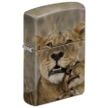 Lionness & Cub