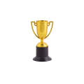 Mini Cup Trophy