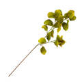 Leaf Branch - Eucalyptus Greens 78cm