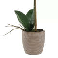 Orchid - Lined Ceramic Pot 47cm