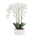 Orchid - Smooth Ceramic Planter Large 60cm