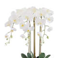 Orchid - Smooth Ceramic Planter Large 60cm