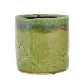 Planter - Ceramic Green Jungle 14cm