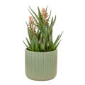 Planter - Ceramic Green Lines 15cm