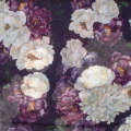 Scarf - Dark Purple Roses