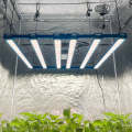 480W Kingbrite P55 BAR Grow Light with UV+IR |Samsung LM281B