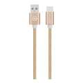 Amplify Linked Series 2m USB Type-CCable GoldAMP-20004-GD