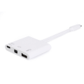 Equip USB Type C to Mini DisPlayPort Female/USB A Female/PD Adapter 133463