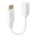 Lindy 15cm DisplayPort Male to Mini-DisplayPort Female Adapter Cable 41060