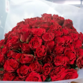 100 Roses - 100 Reasons to say I love you