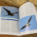 Guide to Seabirds of Southern Africa
