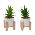 Artificial Succulent with Wooden Stand - Set of 2