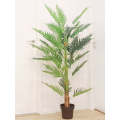 Artificial Fern Plant in Sea Grass Pot - Extra Large